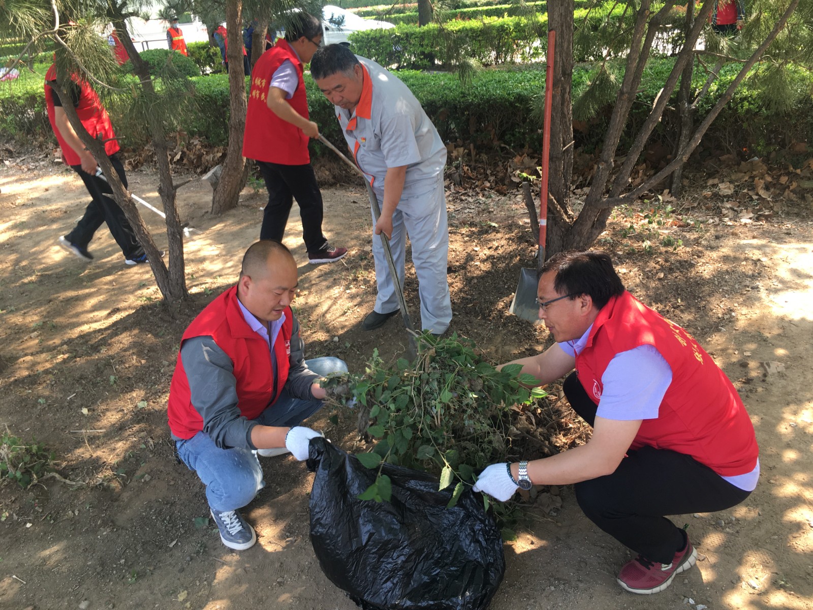 91083555.jpg 91083555.jpg